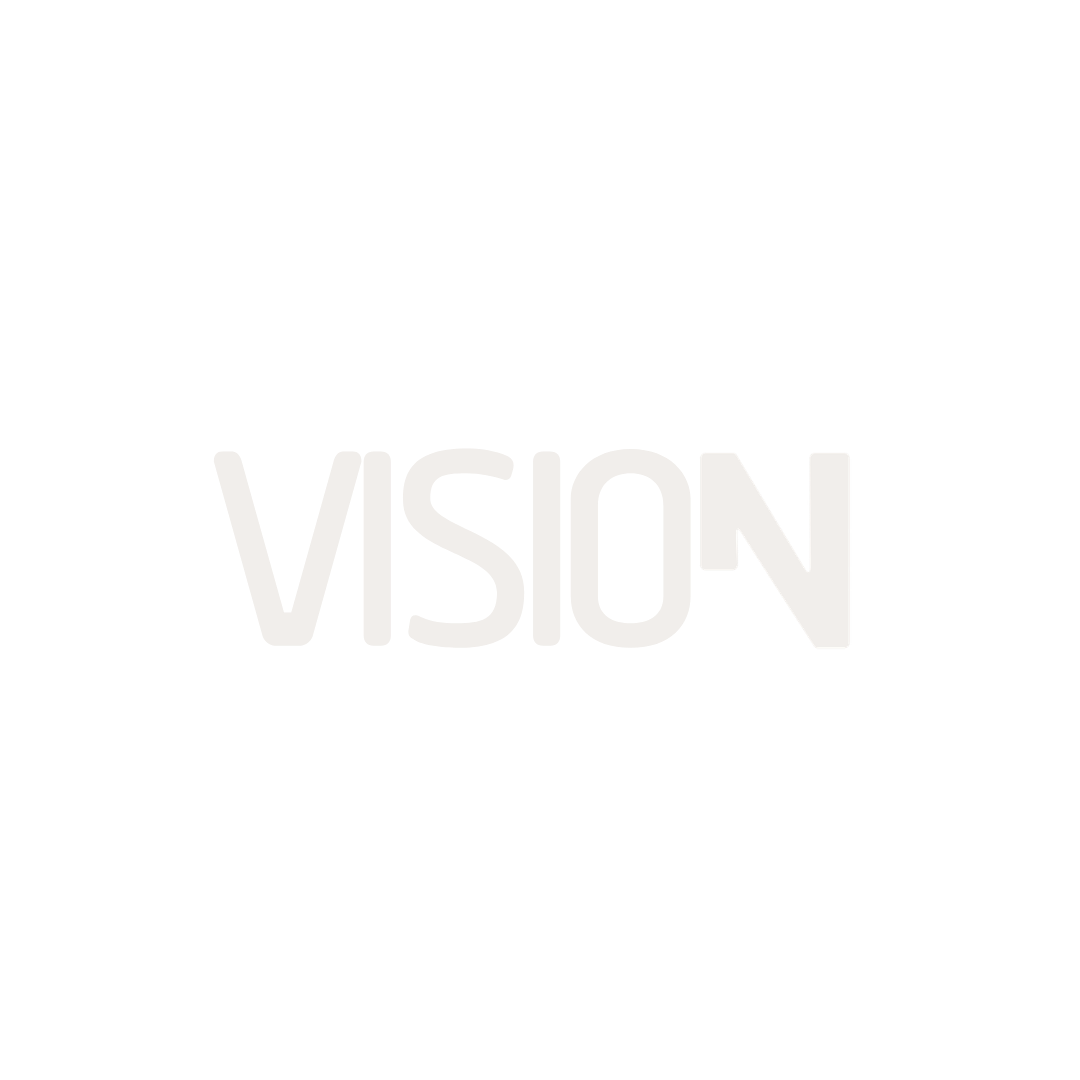 VISION